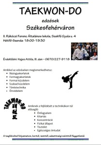 TaekWon-Do Fehérvár - Karate edzés Székesfehérvár