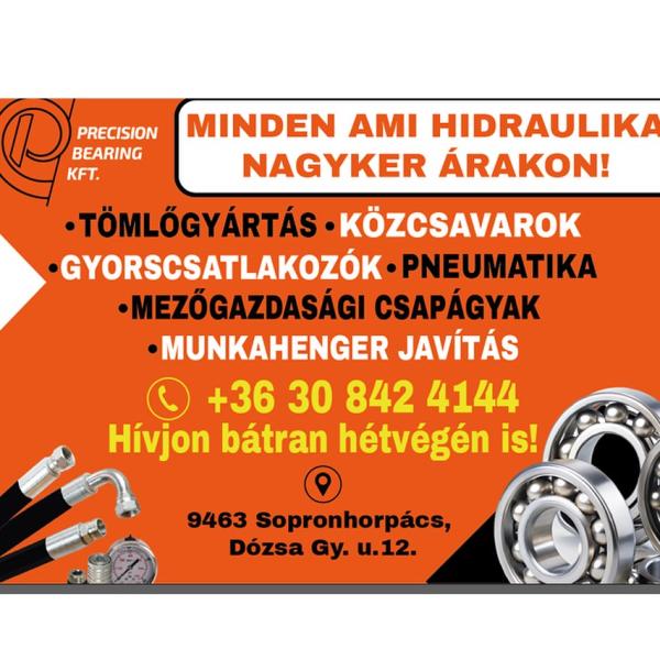 Precision Bearing kft